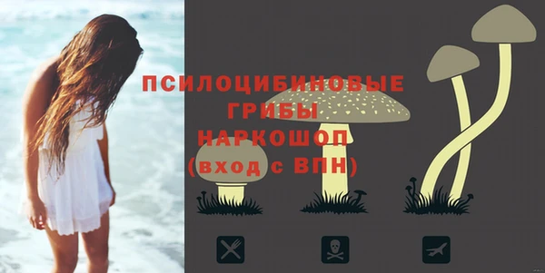 2c-b Аркадак