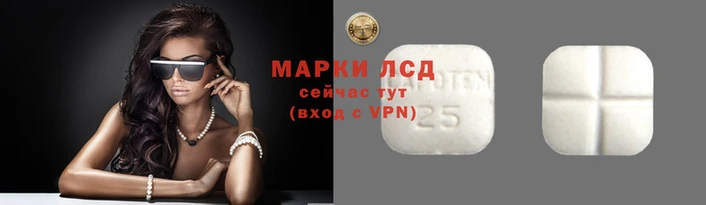 PSILOCYBIN Армянск