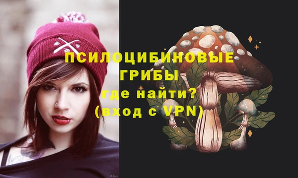 PSILOCYBIN Армянск